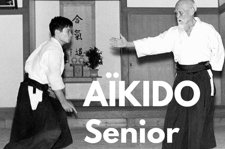 Cours d'Aïkido Senior à Namur